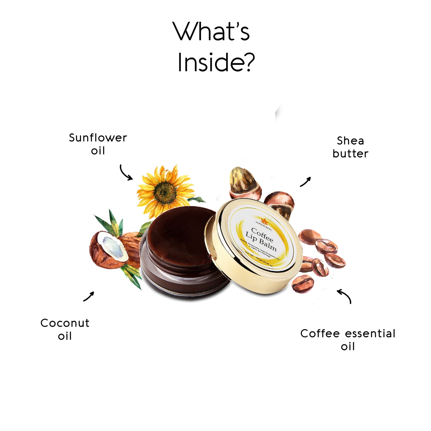 ingredients used in coffee lip balm