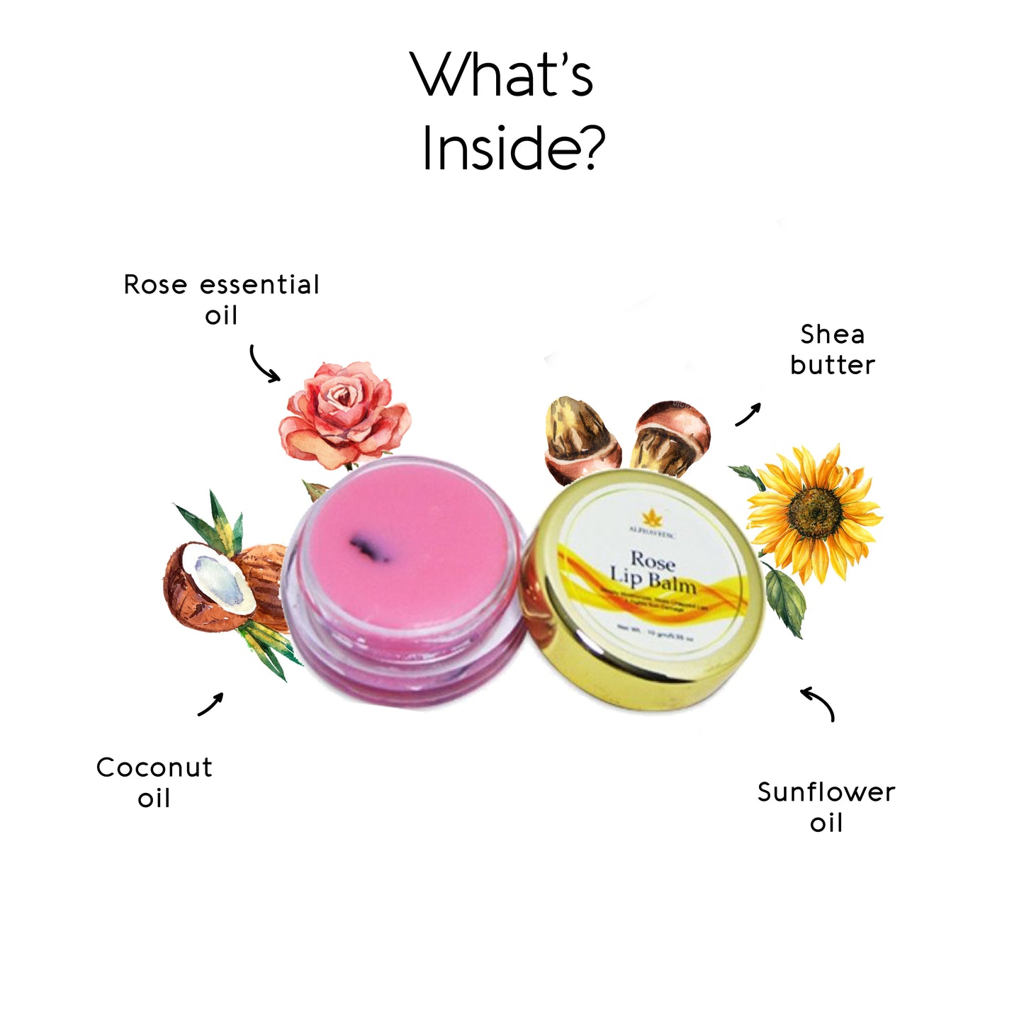 ingredients used in rose lip balm 